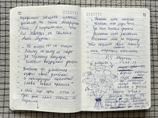 Рисунки Алисы из камеры спецприемника / Фото предоставлено художницей